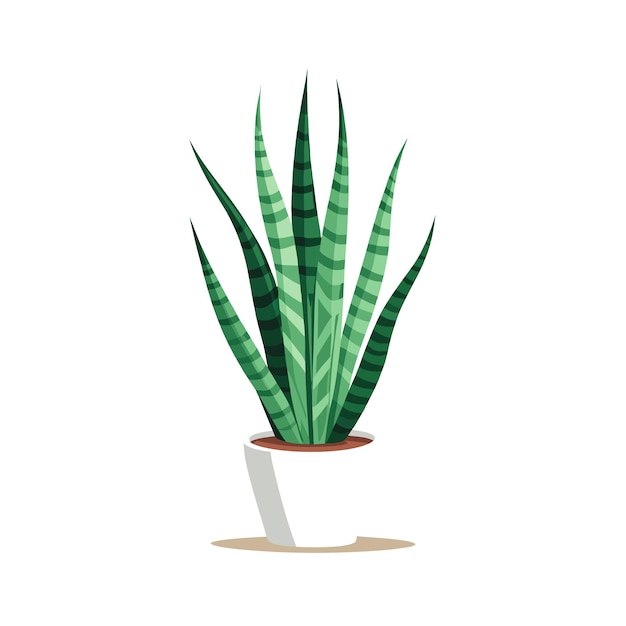 Planta de interior en maceta versátil y realista dibujada a mano