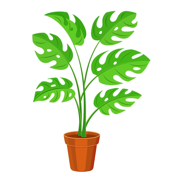 Planta de interior en una olla sobre un fondo blanco monstera en estilo plano