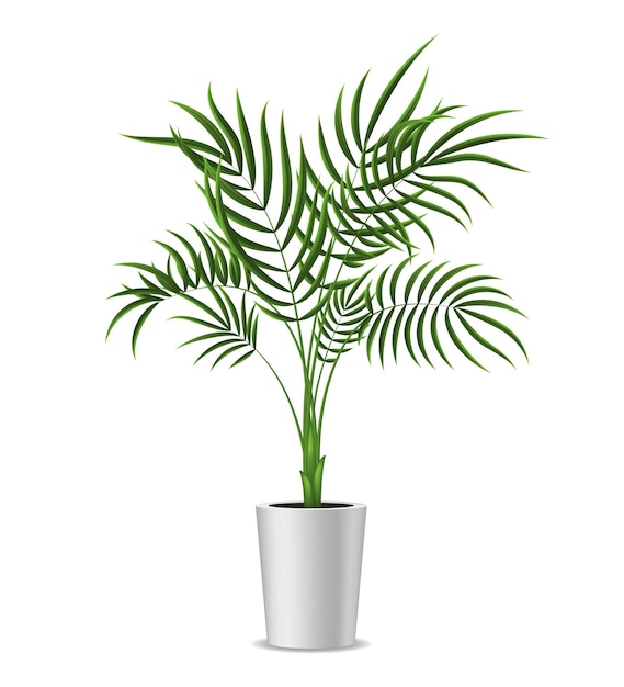 Planta de interior de palmera tropical verde en maceta 3d detallada realista para decoración interior hogar y oficina ilustración vectorial