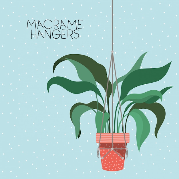 Planta de interior en perchas de macramé