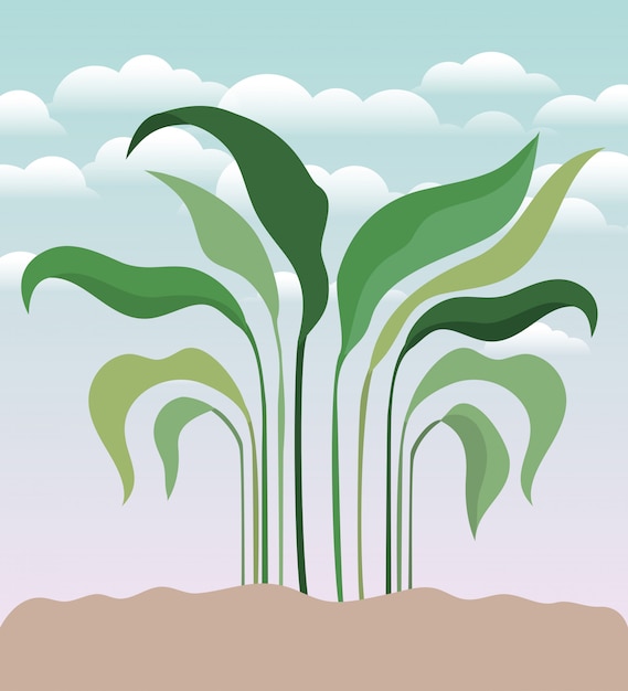 Vector planta de jardin plantada.