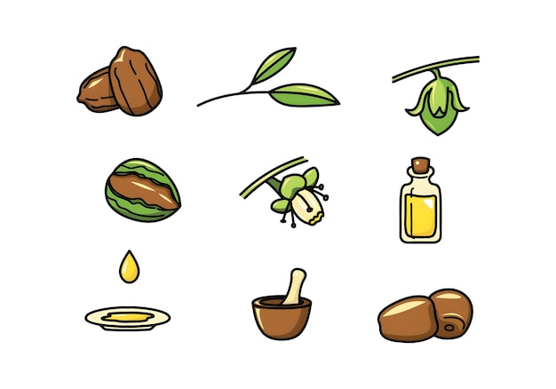 Planta de jojoba y semillas oleaginosas Hojas y elementos de extracción