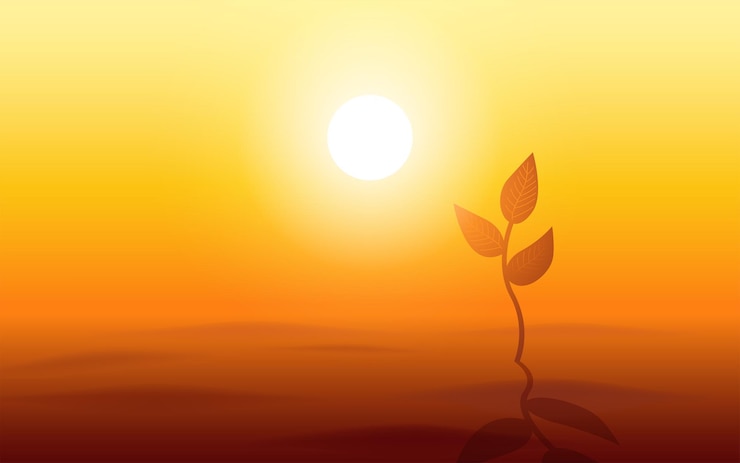 Vector planta joven que prospera valientemente en el implacable terreno del desierto.