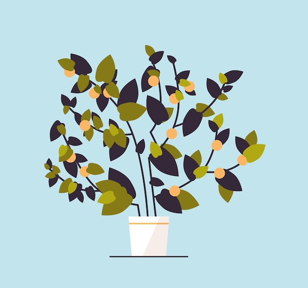 Planta de limón en maceta creciente árbol frutal en maceta ilustración vectorial