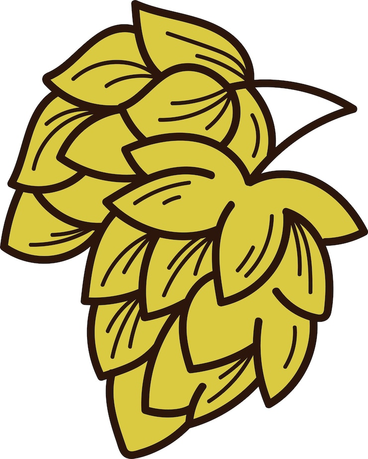 Vector planta de lúpulo de cerveza