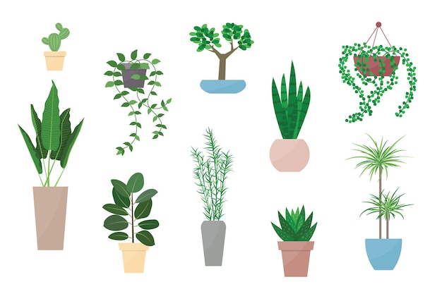 Planta en maceta conjunto de ilustración vectorial dibujos animados planas diferentes plantas de interior decorativas en macetas interiores para decoración interior de hogar u oficina iconos de colección floral de jardín verde aislados en blanco