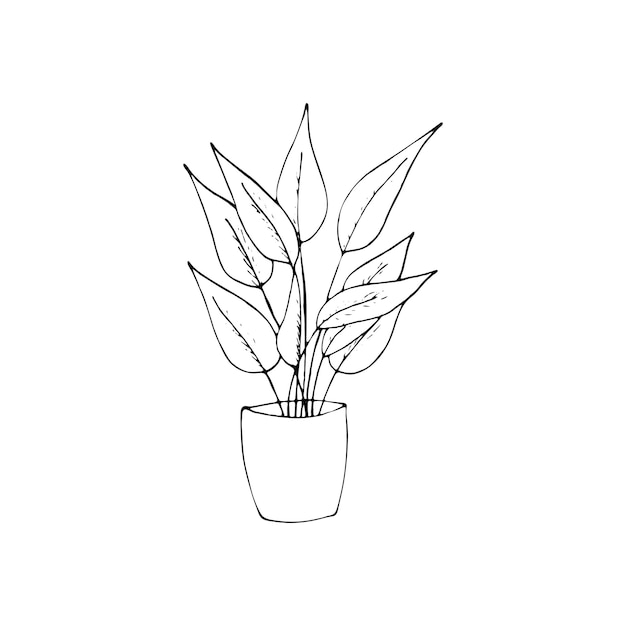 planta en una maceta ilustración aislada de vector dibujado a mano