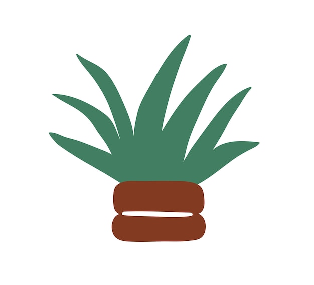 Planta en maceta que crece en sembradora. Planta interior en maceta. Interior verde suculento, decoración casera natural fresca con hojas grandes. Ilustración de vector plano aislado sobre fondo blanco