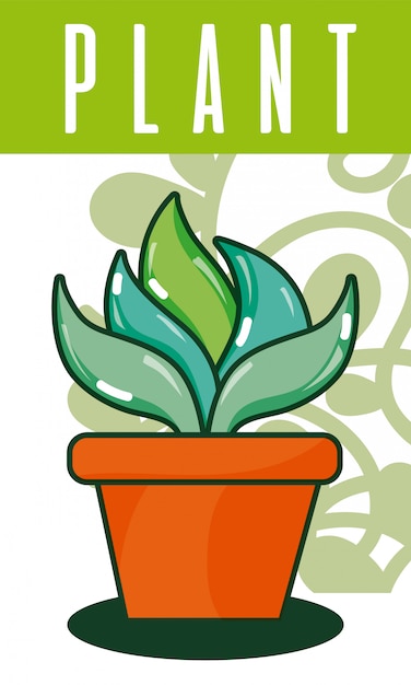 planta en maceta