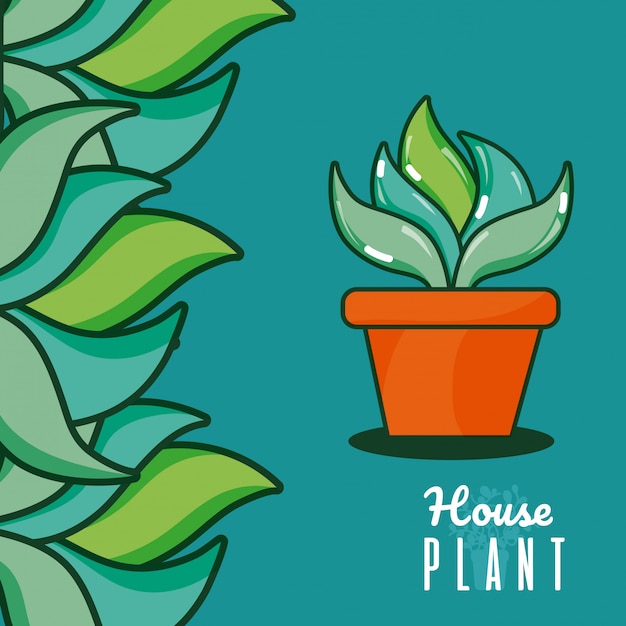 planta en maceta