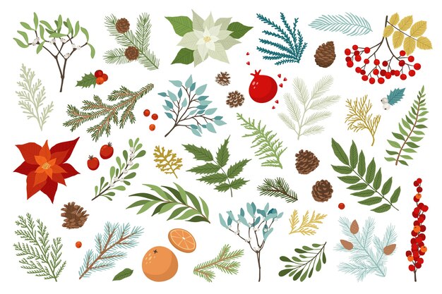 La planta navideña y el conjunto floral incluyen poinsettia, bayas de acebo, muérdago, ramas de pino y abeto, conos y bayas de serbal. Navidad y feliz año nuevo plantilla de diseño. Elementos de dibujo de vacaciones.