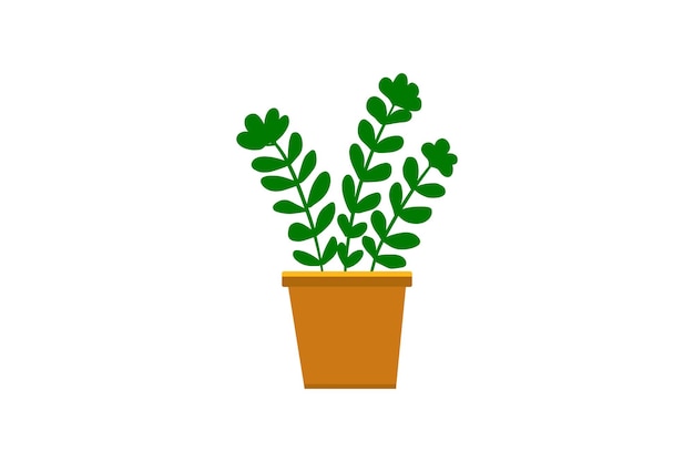 una planta en una olla con una flor marrón en ella