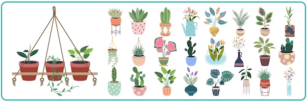Planta en olla Ilustración vectorial Planta plana de dibujos animados diferentes plantas de interior decorativas en maceta para decoración interior de la casa o la oficina Iconos de colección floral de jardín verde aislados en blanco