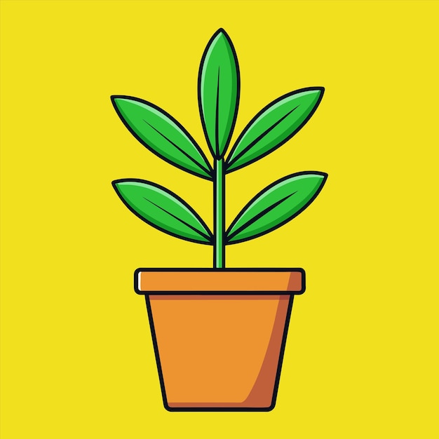 una planta en olla con una planta verde en ella