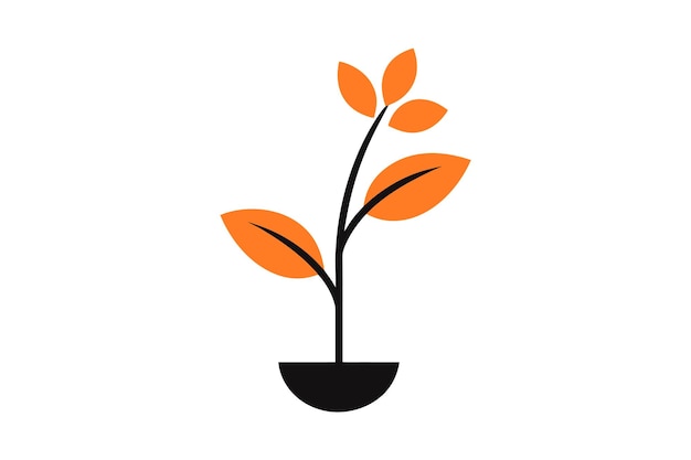 una planta en una olla que es negra y naranja
