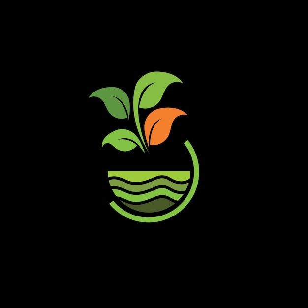 planta de proyecto
