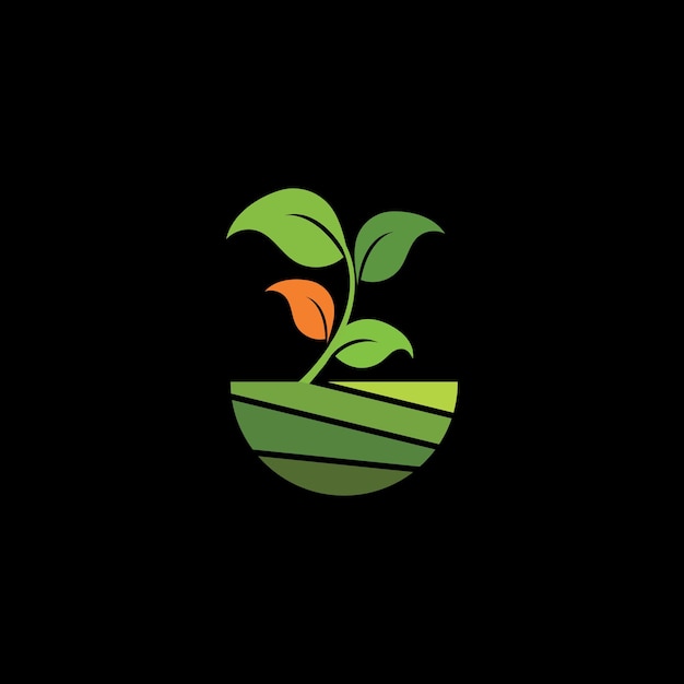 planta de proyecto