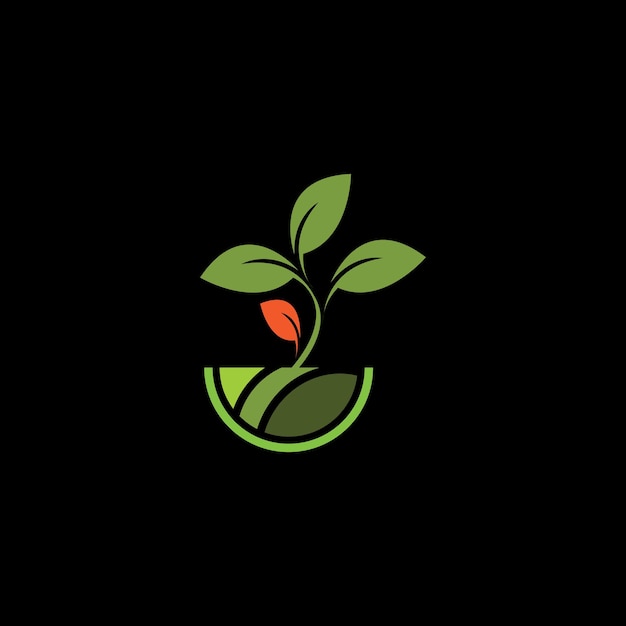planta de proyecto