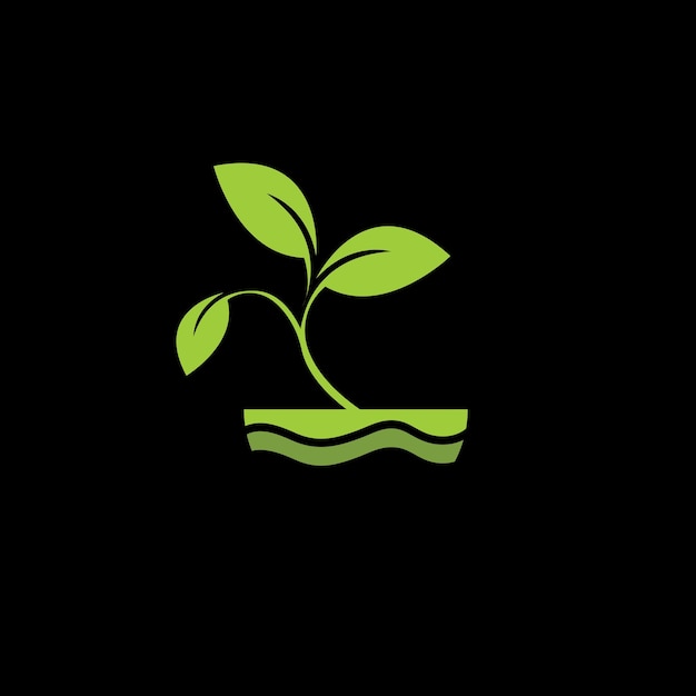 planta de proyecto