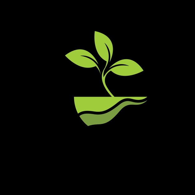 planta de proyecto