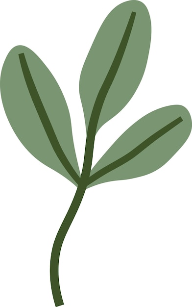 Planta de ramas de hojas