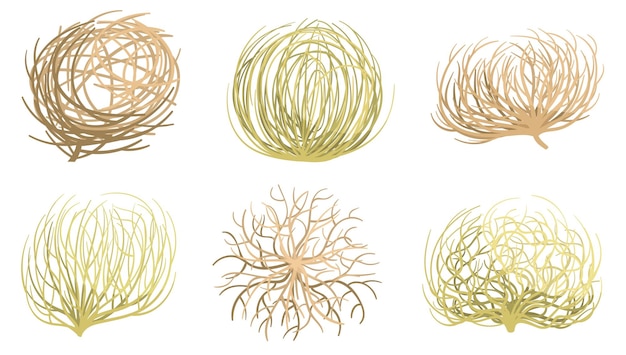 Vector planta rodadora de dibujos animados valles occidentales y desiertos planta rodando conjunto de vectores de raíces de bola de malezas secas