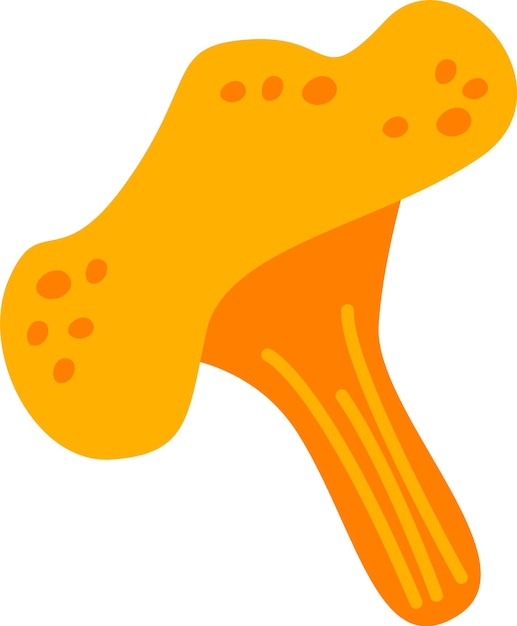Planta de setas de la especie Chanterelle