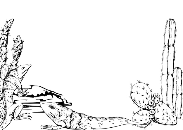 Planta suculenta del desierto cactus nopal vida silvestre iguana lagarto reptil animal de compañía vector de tinta dibujado a mano