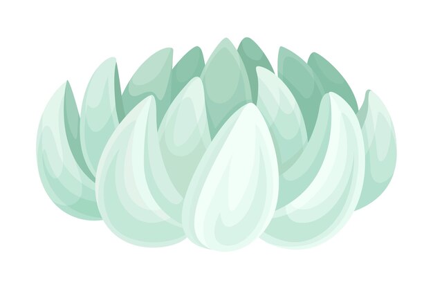 Planta suculenta Ilustración vectorial de decoración de la oficina en el hogar de moda