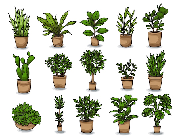 Planta de tiesto conjunto de plantas de interior dibujado a mano.