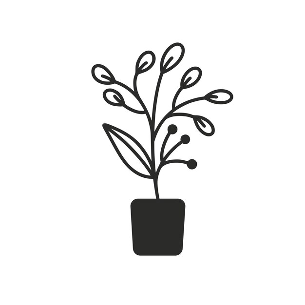 planta en vaso de flores