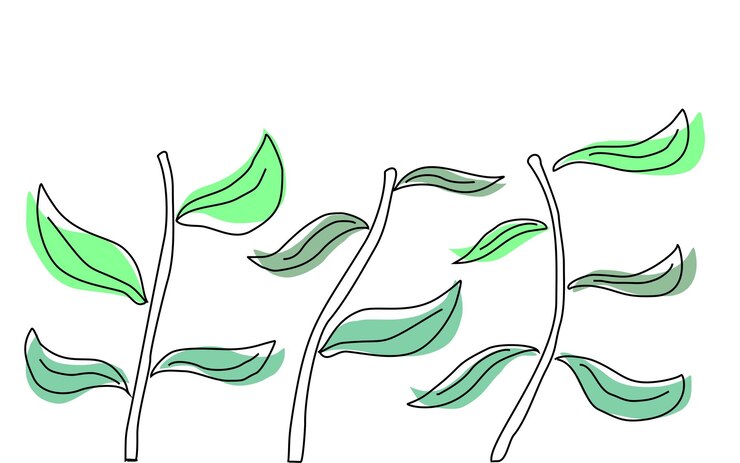 Planta de vector de fondo