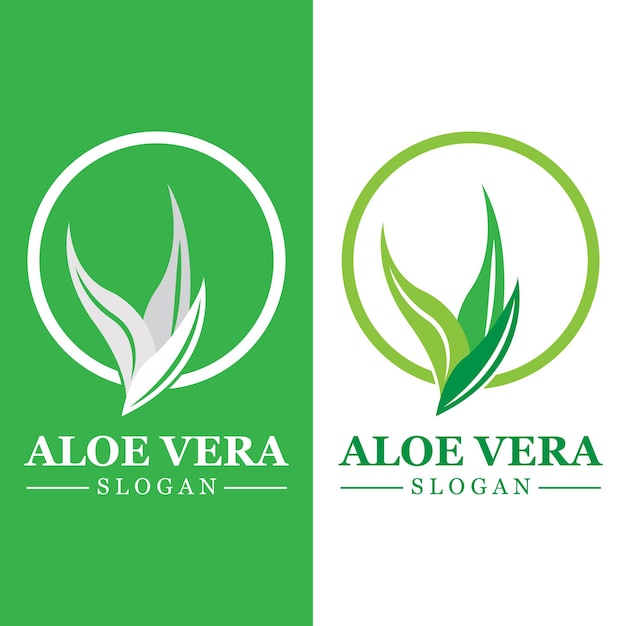 Planta verde aloe vera logo vector icono símbolo muchos beneficios