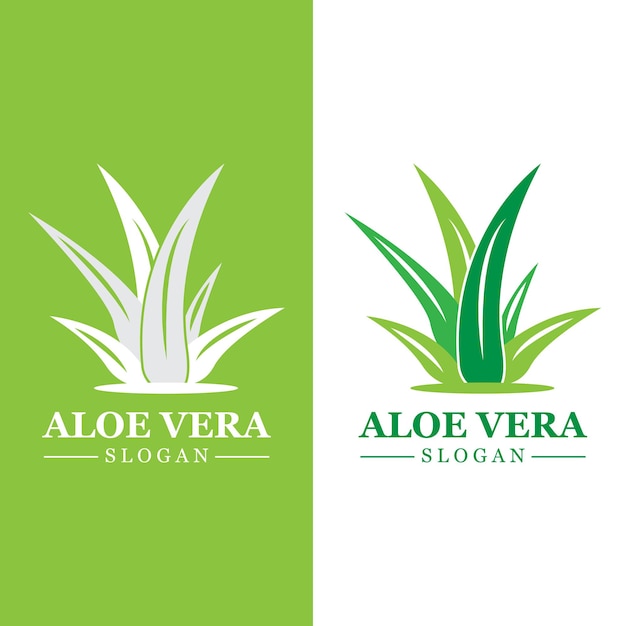 Planta verde aloe vera logo vector icono símbolo muchos beneficios