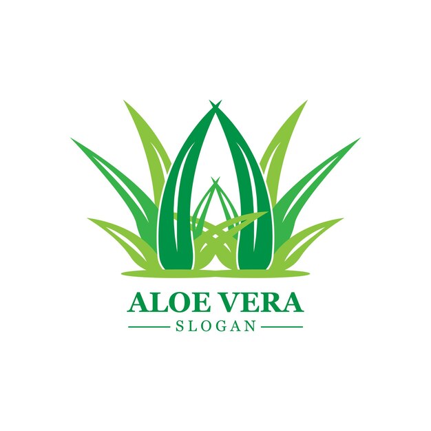Planta verde aloe vera logo vector icono símbolo muchos beneficios