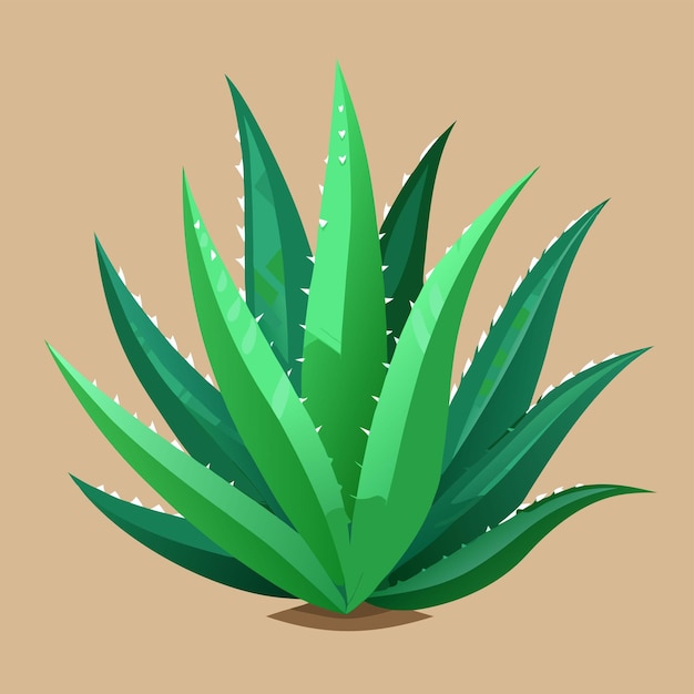 una planta verde con una estrella blanca en la parte superior