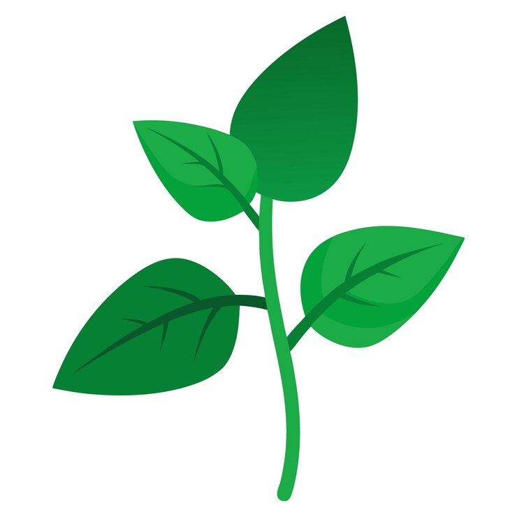 una planta verde con una hoja verde que dice verde