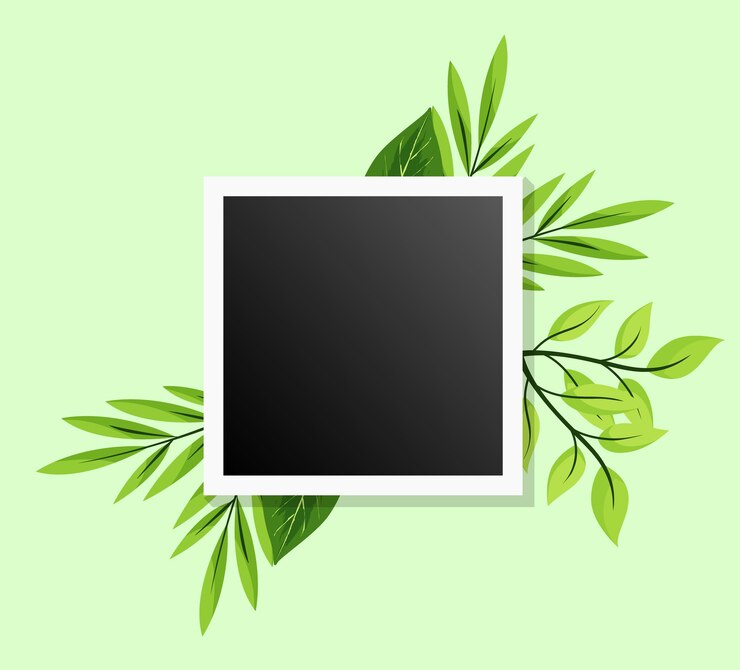Vector una planta verde con hojas y un cuadrado negro en el cuadro de collage vectorial de plantas naturales