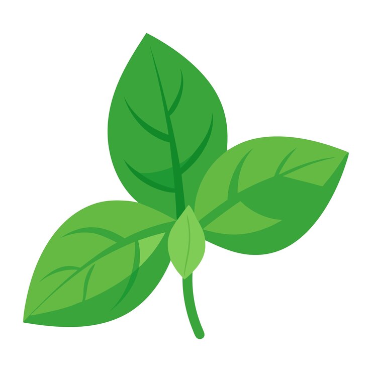 una planta verde con hojas que dice fresco en él