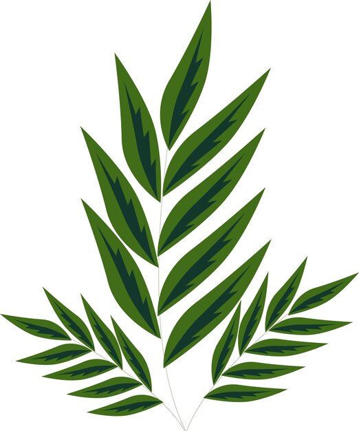una planta verde con hojas verdes en ella