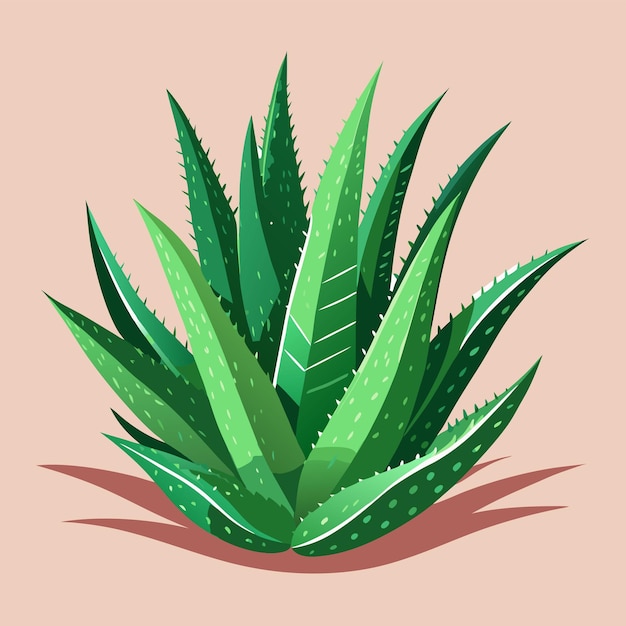 una planta verde con hojas verdes y un fondo marrón