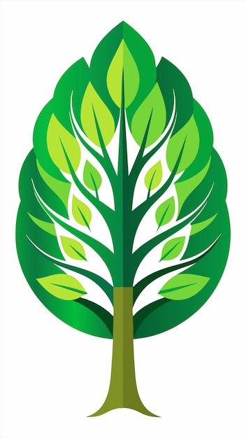 una planta verde con hojas verdes y una hoja verde