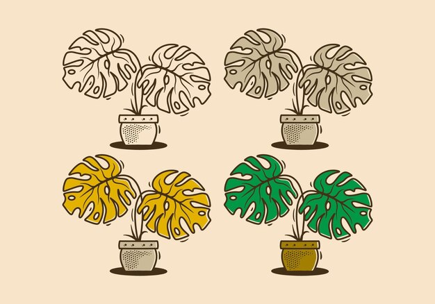 Planta verde Monstera deliciosa con dos ilustraciones de hojas grandes