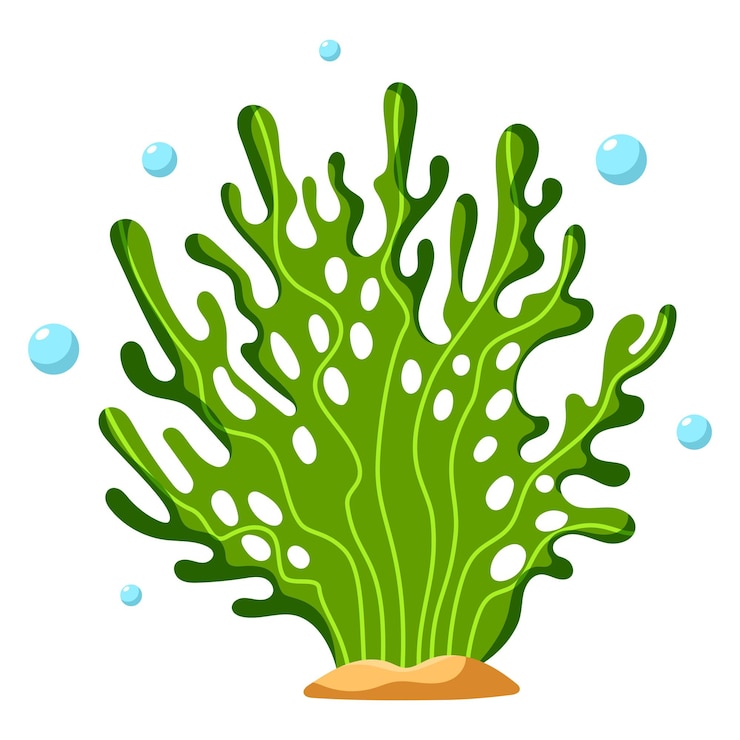 Vector planta verde de los océanos