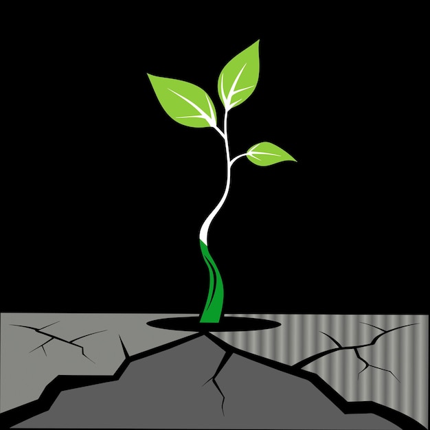 una planta verde que crece en una grieta en el suelo