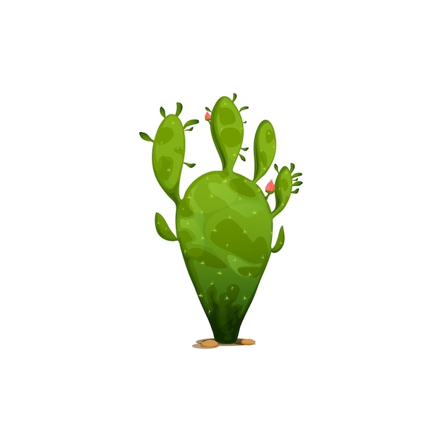 La planta verde suculenta del agave del cactus crece en desierto