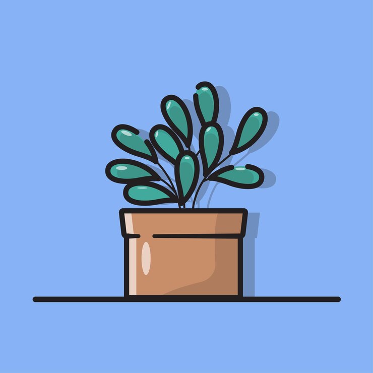 La planta