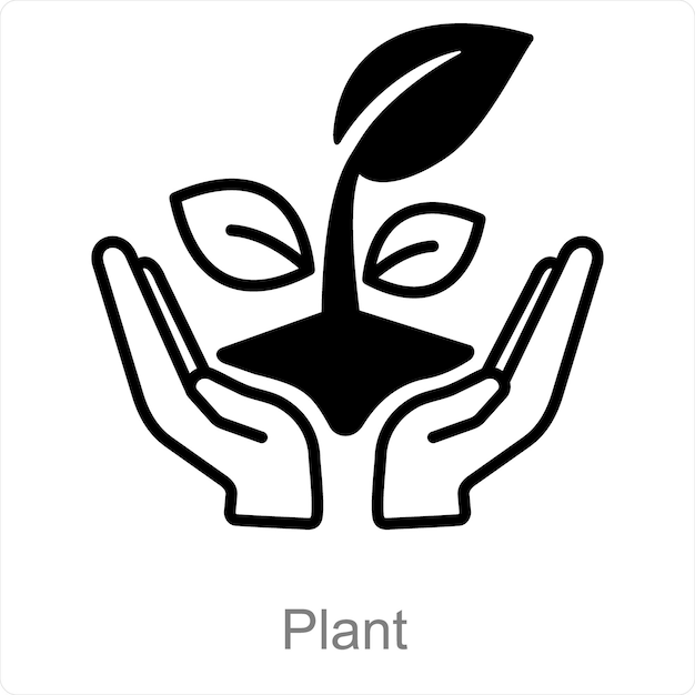 La planta