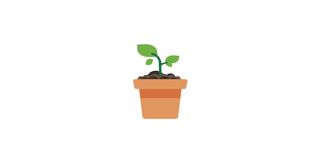 La planta