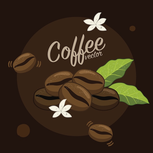 Plantación de árboles de café, rama, hoja, frijol.
